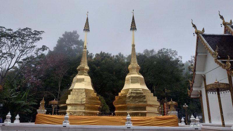 The twin golden chedis of Phra That Doi Tung side by side on a base wrapped in orange cloth, with forest and mist behind