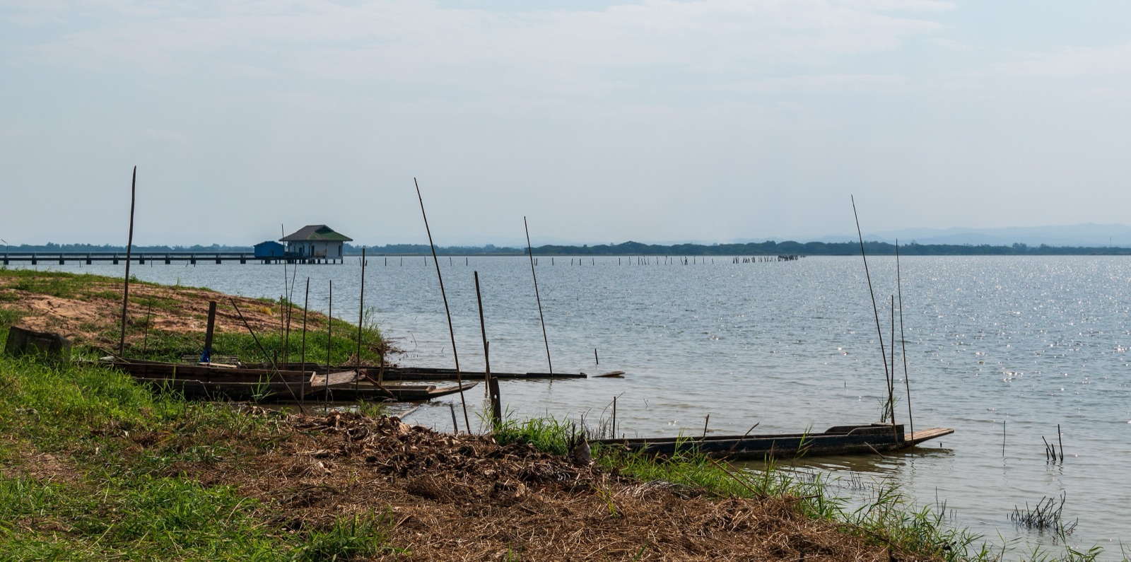 The shore of Kwan Phayao: three small wooden rowing boats tied to bamboo poles on a grassy bank, rows of stakes and a small hut on a wooden walkway out in the water