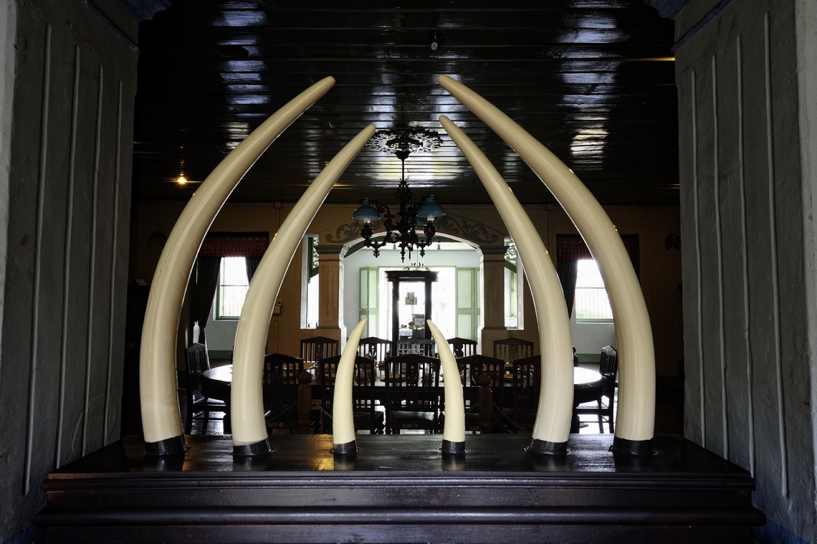 A hall inside Khum Chao Luang in Phrae, with polished wooden floors, a long table laid for dinner, white walls, tall doors and windows framed in green, and gold-patterned curtains drawn back in front