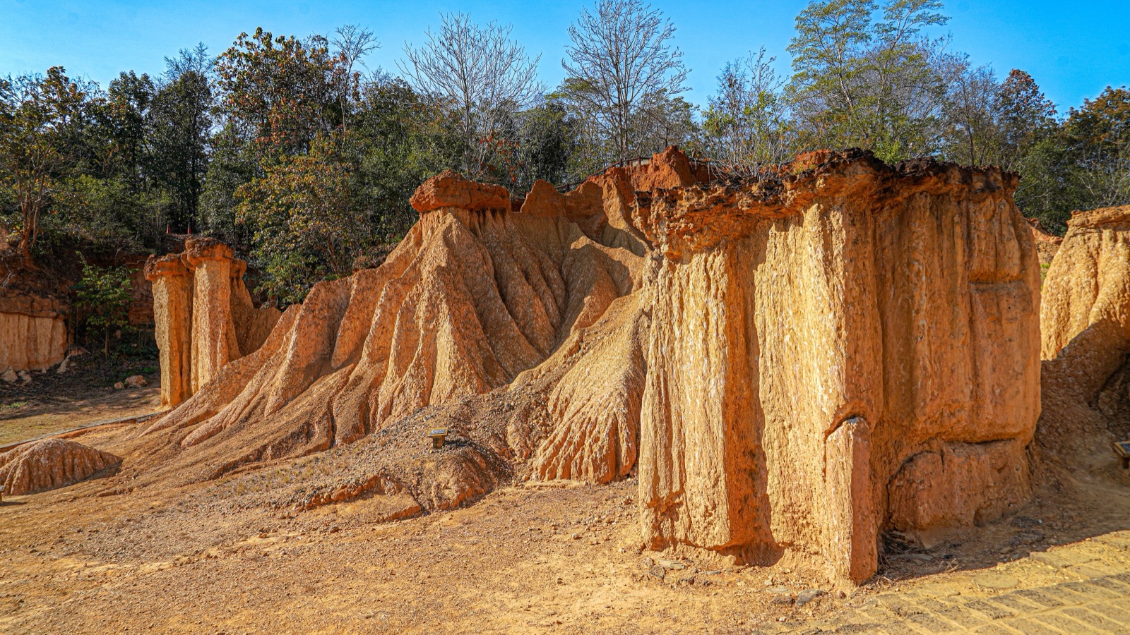 Phae Mueang Phi: orange-yellow earth pillars of different heights standing in a group, with open forest and a blue sky behind