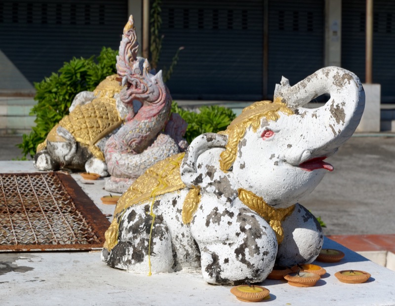 A white elephant statue decorated with gold stands at Wat Chiang Man in Chiang Mai, with offerings set in front of it and a naga statue behind