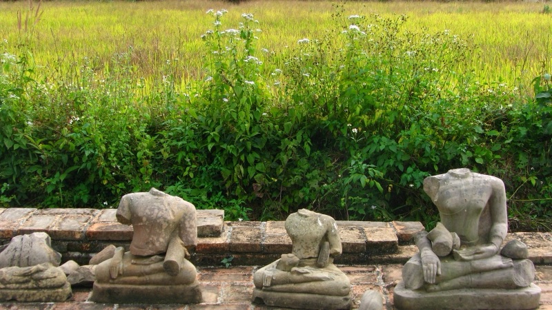 Several old damaged sandstone Buddha images, their heads missing, set in a row on a brick base in front of a green meadow