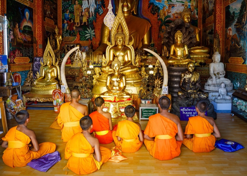 สามเณรและพระภิกษุห่มจีวรสีส้มนั่งหันหลังสวดมนต์หน้าพระพุทธรูปทองในวิหารวัดพระธาตุดอยสุเทพ เชียงใหม่