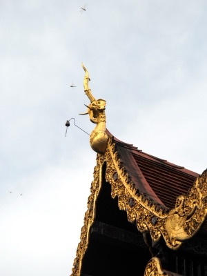 ช่อฟ้าสีทองรูปนกหัสดีลิงค์ หัวช้างมีงวง ที่ปลายหลังคาวิหาร