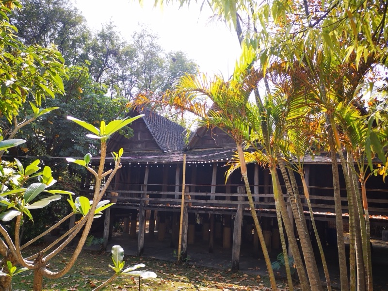 เรือนไม้ภาคเหนือหลังคาทรงสูง ใต้ถุนโล่ง ตั้งอยู่ท่ามกลางต้นไม้ ที่ศูนย์วัฒนธรรมเชียงใหม่