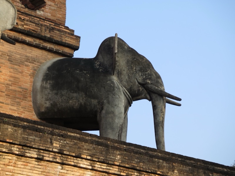 A dark grey stucco elephant projecting from the brick base of Wat Chedi Luang, Chiang Mai, under a blue sky