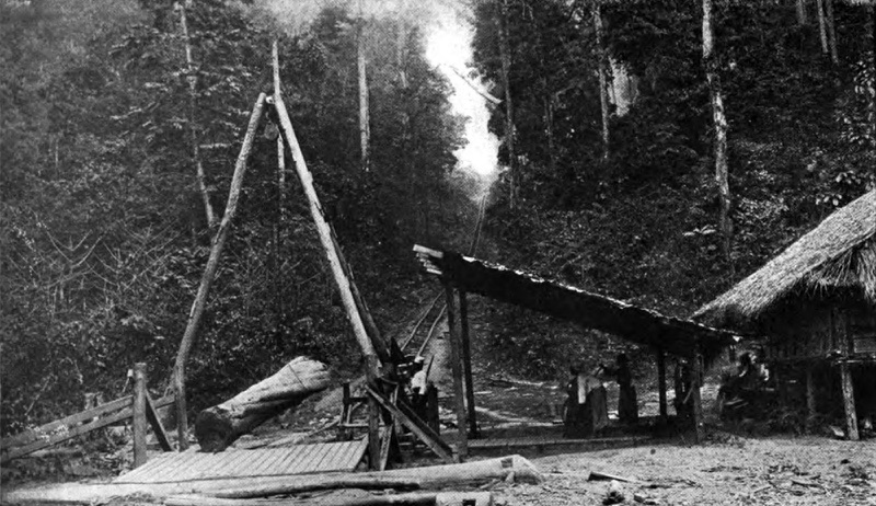 Old black-and-white photograph of a tall wooden tripod lifting a big log beside a thatched shed in the forest, with small figures far away