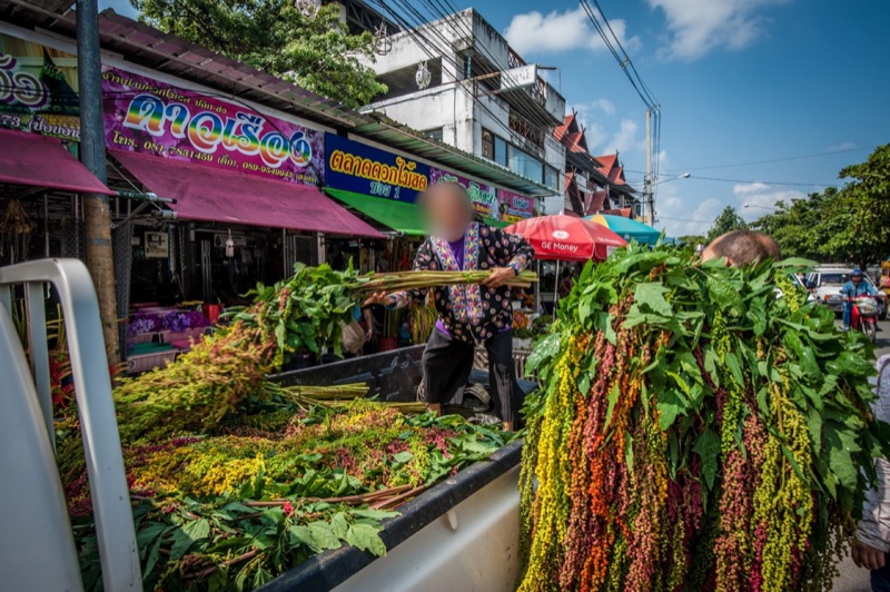 A vendor at Warorot Market, Chiang Mai, arranging fresh greens and flowers on the back of a pickup truck