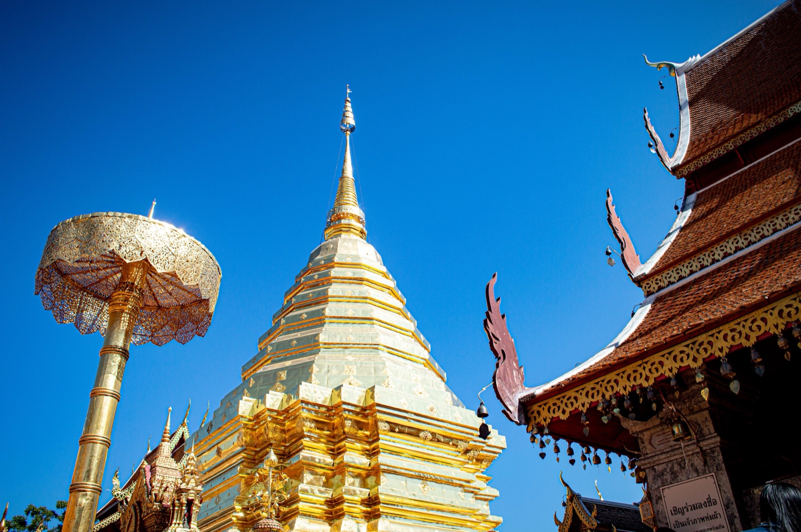 พระบรมธาตุเจดีย์สีทองบนดอยสุเทพ กับฉัตรทองข้างองค์เจดีย์