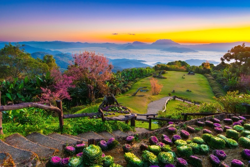 ทะเลหมอกยามพระอาทิตย์ขึ้นเหนือทิวดอยที่อุทยานแห่งชาติห้วยน้ำดัง เชียงใหม่ มีสวนดอกไม้และรั้วไม้อยู่ด้านหน้า