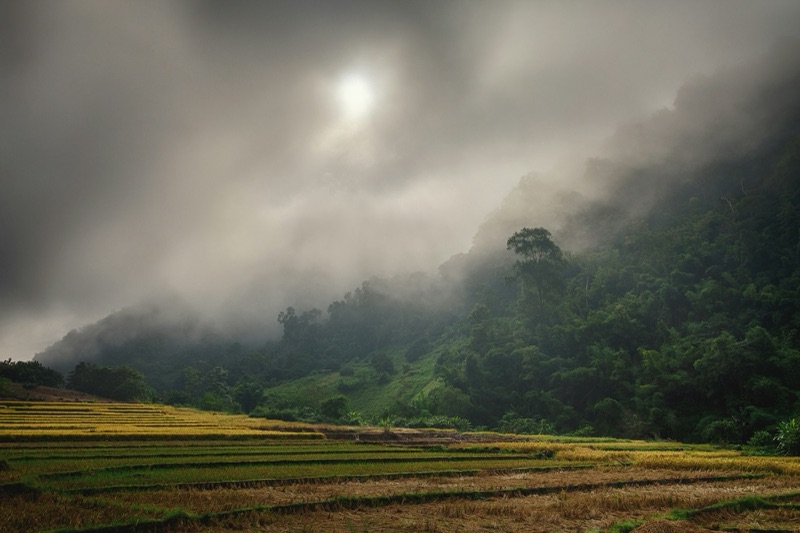 A dim sun behind thick cloud over misty mountains, with golden terraced rice fields below