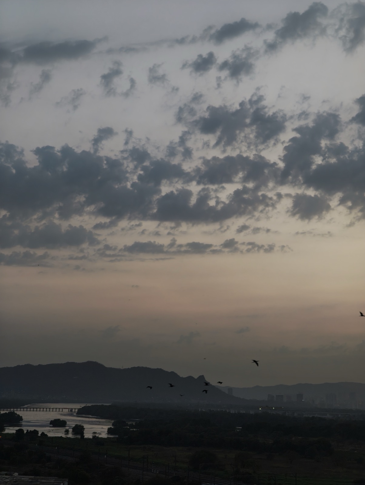A flock of birds flies over a river valley and mountain silhouettes at dusk, under a sky of broken clouds