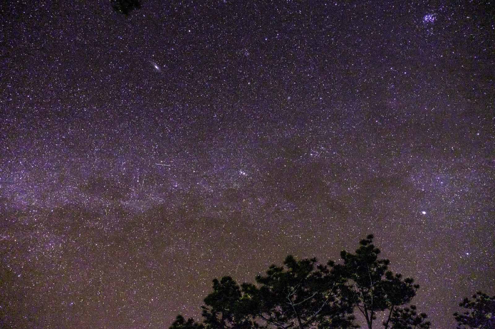 A night sky full of stars and the Milky Way, with the silhouette of trees below