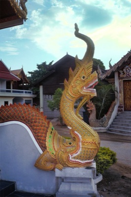 รูปปั้นนาคสีทองเลื้อยเป็นราวบันไดวัด หัวชูสูง เขี้ยวขาว
