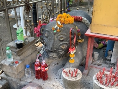 A small black Maeng Si Hu Ha Ta figure in a shrine, hung with marigold garlands, with incense pots and red soda offerings in front