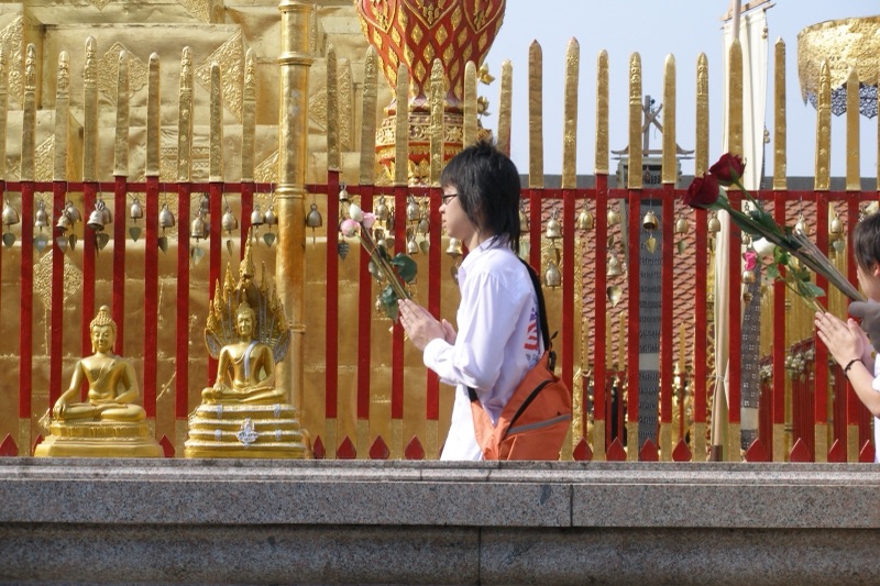 Worshippers holding lotus flowers walk around the golden chedi of Wat Phra That Doi Suthep, behind a red railing