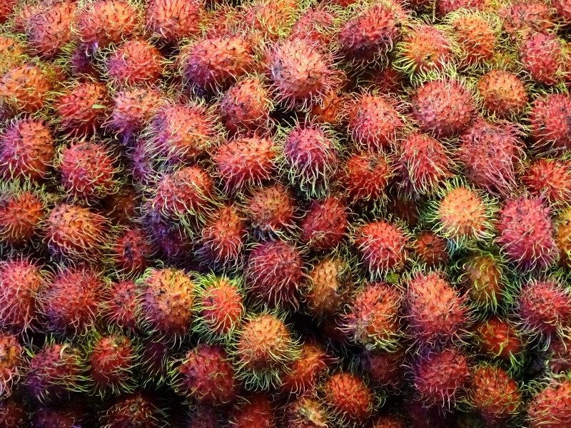 Red rambutans piled high on a fruit stall at Warorot market, Chiang Mai