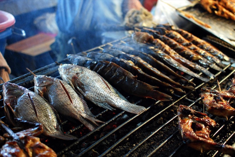 ปลาย่างบนตะแกรงถ่านในกาดธานินทร์ เชียงใหม่ ที่คนเมืองเรียกว่า ป๋าจี่