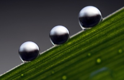 Three round clear dew drops on a green blade of grass