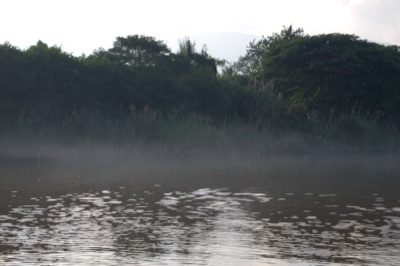 White mist over the still surface of the Ping River, with trees on the bank