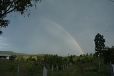 A rainbow arching over grassland and trees under a cloudy sky