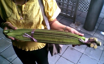 บ่าลิดไม้ เพกา