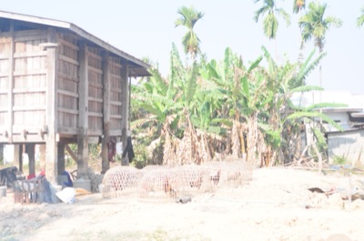 long khao (rice granary (Northeast Thailand))