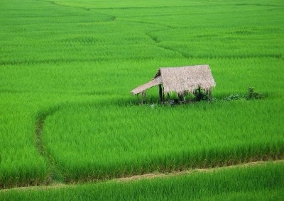 tup ma ngaen (a field hut near Nan town)