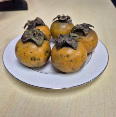Ba kap tong, Diospyros malabarica