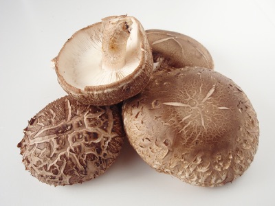 Brown shiitake caps with a cracked surface