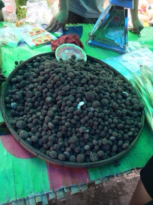 A large flat basket full of round black het thop mushrooms at a market