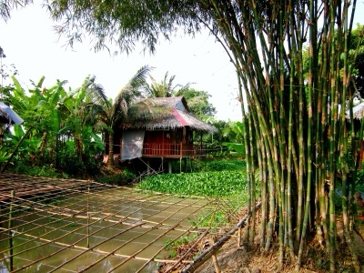 mai huak: ruak bamboo