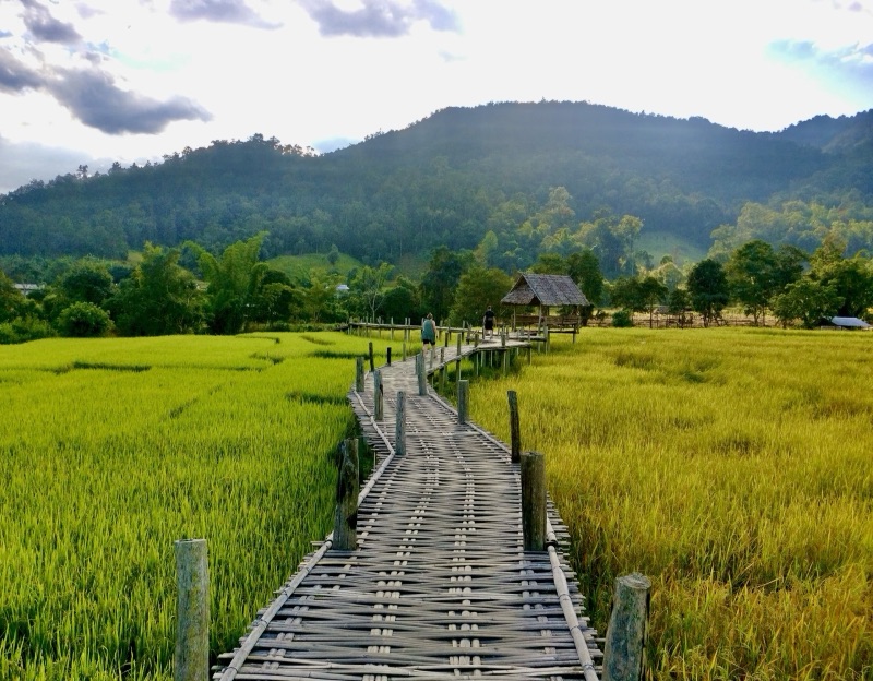 A bamboo bridge with a woven deck stretching across green rice fields in Pai, Mae Hong Son, towards a small pavilion in the paddies, with mountains behind